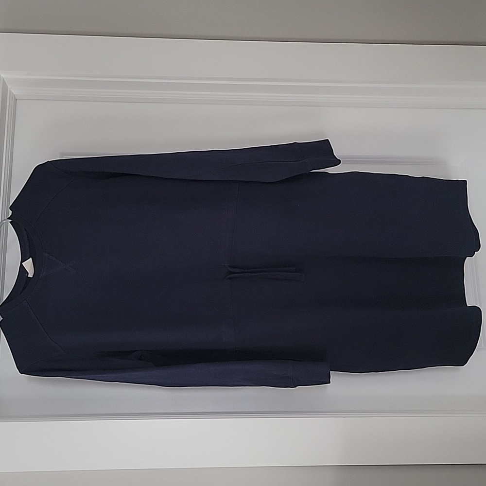 Pact Organic Cotton CloudKnit Sweatshirt Dress NWT